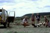 84 africa hippo dead