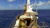 coralsea 10