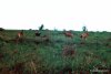 03_Uganda-3
