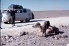 04_North-Africa5