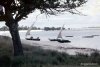 14_Tanzania-shore-3F