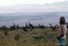 36_ngorongonron_F