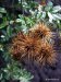 GordonRiver (12)