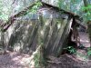 GordonRiver (14)