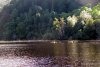 GordonRiver (20)