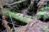 GordonRiver (24)