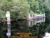GordonRiver (35)