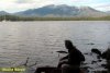 GordonRiver (4)