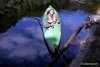 GordonRiver (43)