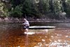 GordonRiver (48)