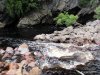 GordonRiver (57)