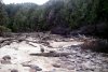 GordonRiver (65)