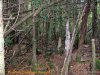 GordonRiver (66)