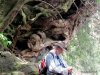 GordonRiver (69)