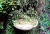 GordonRiver (70)