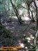GordonRiver (81)