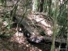 GordonRiver (82)