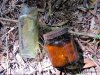 GordonRiver (86)