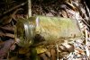 GordonRiver (87)