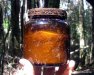 GordonRiver (88)