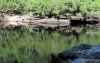 GordonRiver (99)