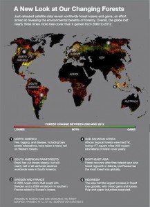map-global-forest-change-final_73495_600x450
