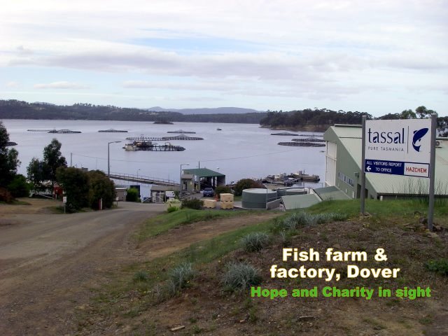 Dover Fish Farm