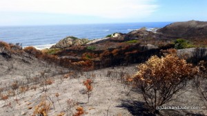 West Coast shows signs of small bush fire