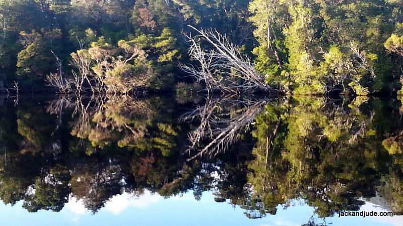 Gordon River reflections