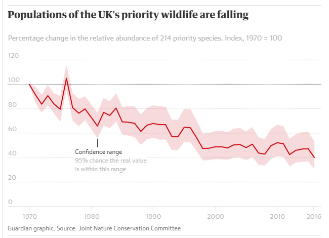UK's priority wildlife are falling